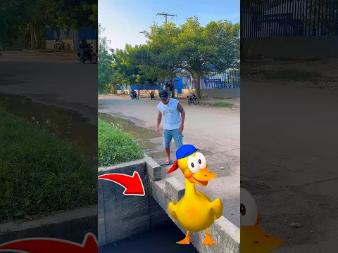 Encontré a el patito Juan 😱😱 #viral #fyp #viralshorts #viralvideo #parati #video