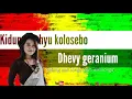 Download Lagu Kidung wahyu kolosebo - Dhevy Geranium (Reggae)