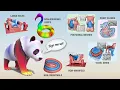 Fast Forward A Heat Method for Generalized Signed Distance SIGGRAPH 2024