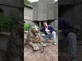 Bezoek het oude leeuwenverblijf in ARTIS🦁