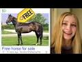 IF IT S FREE I BUY IT Craigslist edition