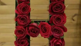 حالة واتس حرف H على أغنية لو بدو قلبي من صدري بشلو  حالة واتس حرف H على أغنية لو بدو قلبي من صدري بشلو