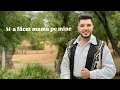 Download Lagu Marian Medregoniu - M-a făcut mama pe mine - NOU