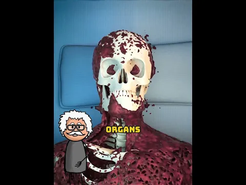 What happens after you die 😨