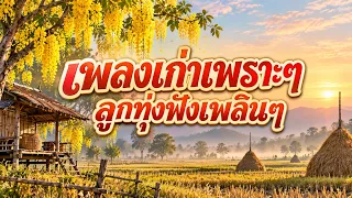 เพลงเก่าเพราะๆ ลูกทุ่งฟังเพลินๆ