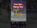 Download Lagu Cơn Mưa Ngang Qua x G-Dragon