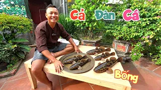 Em Nhân Tặng Cả Đàn Cá Bống To Và Quyết Định Mua Đồ Nghề Thử Nấu Tỉu / Quế Nghịch