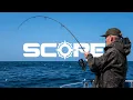 Download Lagu Scope vs. Sharks | Alan Blair \u0026 Martin Bowler | Een visavontuur van Bron tot Zee