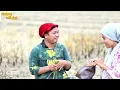 Download Lagu Drama lucu tapsel terbaru mandailing (MANGALAP MANARUON) #komedi #tapselterbaru #drama 
