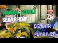 Download Lagu Terbukti Ampuh - Suara Pikat Burung Kecil Terbaru 2025.