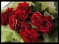 Rose gif