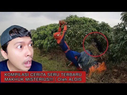 KOMPILASI CERITA SERU MAKHUK MISTERIUS!!! | Oleh ALDIS