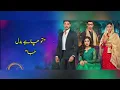 Lagu Mohabbat Chor Di Maine | Full Ost | Lyrics | Sahir Ali Bagga