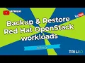 Backup and Restore Workloads in Red Hat OpenStack Platform Using Trilio for OpenStack