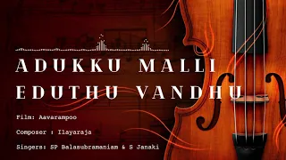 adukku malli eduthu vandhu extreme high quality aavarampoo ilayaraja