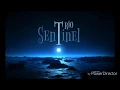Download Lagu Trio Sentinel - Solnyshko - Солнышко - Live from Pasent