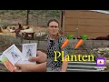 Download Lagu Gelmeren  🥕planten tom hoawst uba iesch… #plautdietsch 