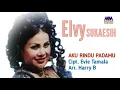 Download Lagu ELVY SUKAESIH - AKU RINDU PADAMU