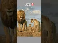 Download Lagu 🦁𝗠𝘂𝗳𝗮𝘀𝗮 🐾 𝗧𝗵𝗲 𝗟𝗶𝗼𝗻 𝗞𝗶𝗻𝗴 𝟮𝟬𝟮𝟱 #viral  #trending #trendingshorts #cartoon #youtubeshorts #shorts