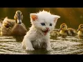 Download Lagu Mama Cat Trims Fur on the Farm and Makes Tiger Hat For Kittens At Home🐾🎩🐯
