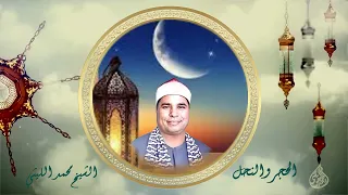 الحجر والنحل الشيخ محمد الليثي 