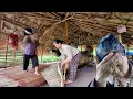 Download Lagu This time, Mr. Ha's mother was determined to kick her daughter-in-law out of the house