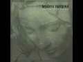 Solemn Descent