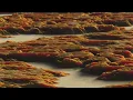 Space 92 - The Game: New Techno / Tech Trance