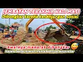 Download Lagu KALI MATI TAMBUN SELATAN BEKASI TERKINI , MAKIN CANTIK \u0026 RAPI SETELAH BANGLI DIGUSUR❗️
