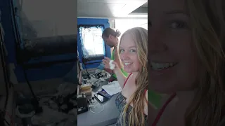 DIY Windows Backfill on our Leopard Catamaran ⛵ #yachtlife #diy #sailingcatamaran