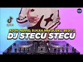 Download Lagu 1 JAM DJ STECU STECU SETELAN CUEK BARU MALU REMIX FULL BASS VIRAL TIKTOK TERBARU -  DJ STECU 1JAM