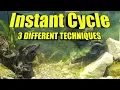 FAST Freshwater Fish Tank Instant Cycle 3 BEST Methods for an Aquarium Cycle