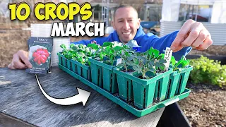 10 Crops you'd be Foolish Not to Plant in March