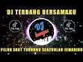 Download Lagu DJ TERBANG BERSAMAKU | PELUK ERAT TUBUHKU SENTUHLAH JEMARIKU | REMIX TERBARU 2023