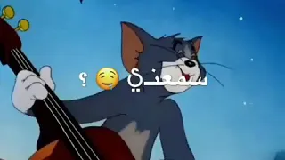 لفلي حشيش سمعني غناني كيف بدك ياني عيش محبوبي اذاني جديد ربيع العمري 