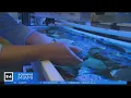 UM professor says marine life threatened by rising water temperatures