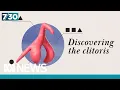 The female scientists helping people discover the clitoris 7 30