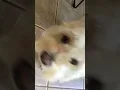 bOmBaStIc SiDe EyE