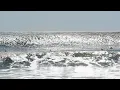 Hurricane Larry - Montauk NY 9 10 2021