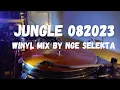 Download Lagu JUNGLE 082023