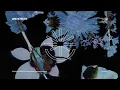 Broken Mirror (Daniel Joseph Remix) - Architects & Daniel Joseph
