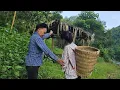 Download Lagu Wanita tua itu memutuskan untuk membiarkan gadis tunawisma itu tinggal di rumahnya yang terbengkal