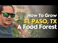 How To Grow Food In El Paso Texas