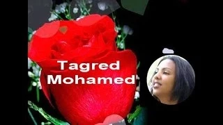 الطيب عبد الله مانفع فيك التوسل أنت زول برخص حبيبو   تغريد محمد دندنها