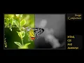 Image Comparison Slider Using HTML CSS and JavaScript Image Comparison ProgrammingTT