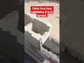 Download Lagu Spread game (Satisfying) #hardwork #dedication #blockwork #masonry #video #grind #masons #florida