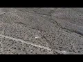 Beautiful 1 Acre Lot in Mohave County just outside of Dolan Springs AZ