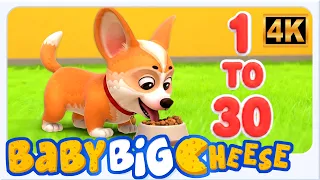 Counting 1–30 with Baby Big Cheese! | Fun Songs for Little Ones