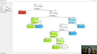 Iris data and Decision Trees