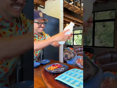 Soy el perro diamante más guapo de México? #viral #perros #perrofeliz #dúo